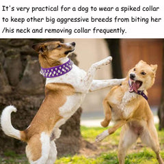 Guía de tallas TEEMERRYCA para ajustar el collar a razas.