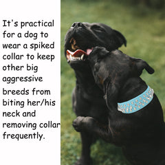 TEEMERRYCA hebilla-collar-fuerte con cierre resistente