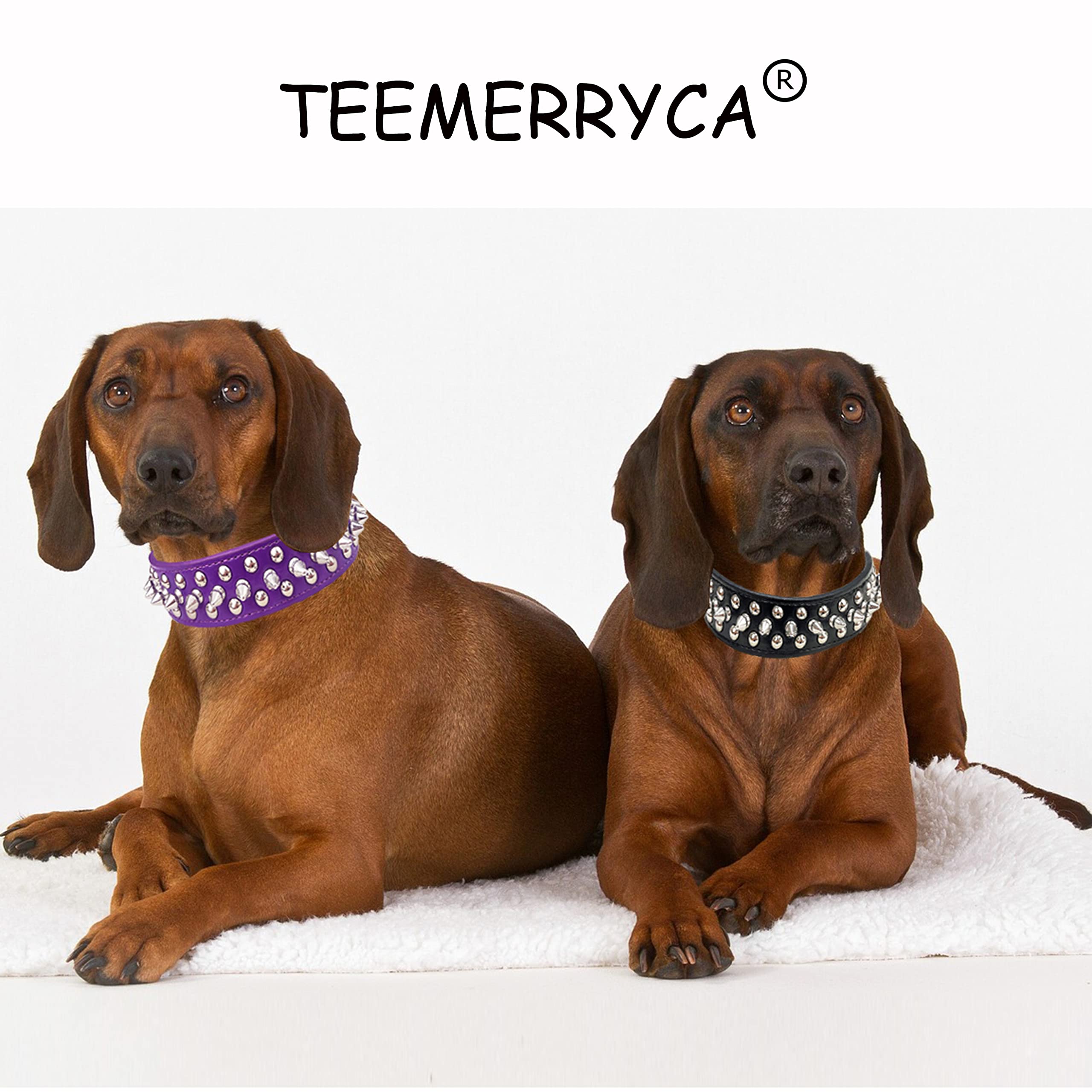 Pelota parlante incluida para jugar con el collar TEEMERRYCA.