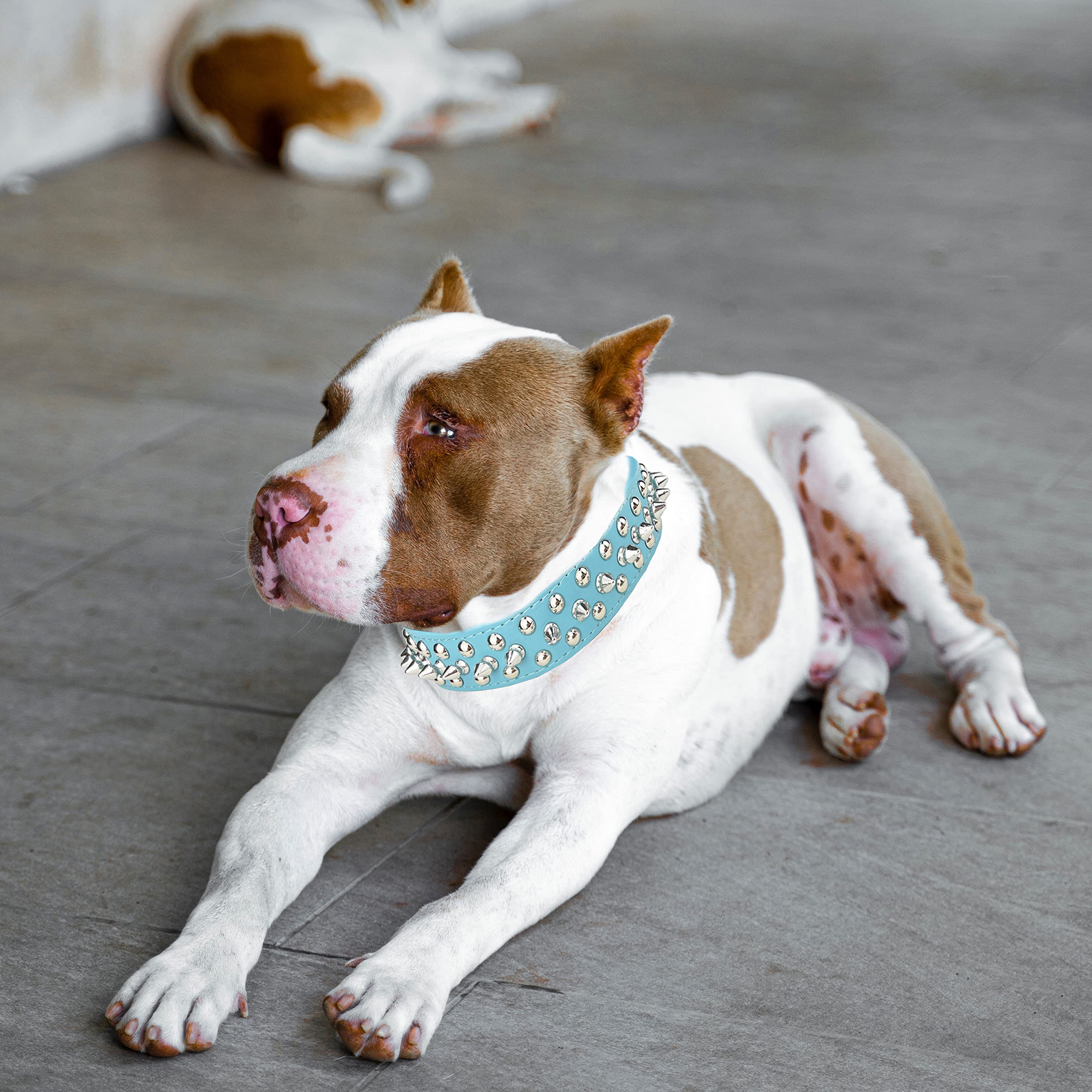 TEEMERRYCA perro-paseo-collar diseño atractivo para uso diario