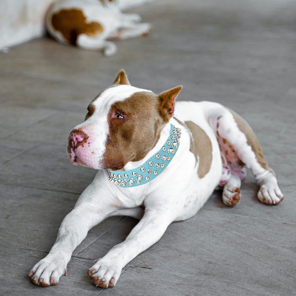 TEEMERRYCA perro-paseo-collar diseño atractivo para uso diario