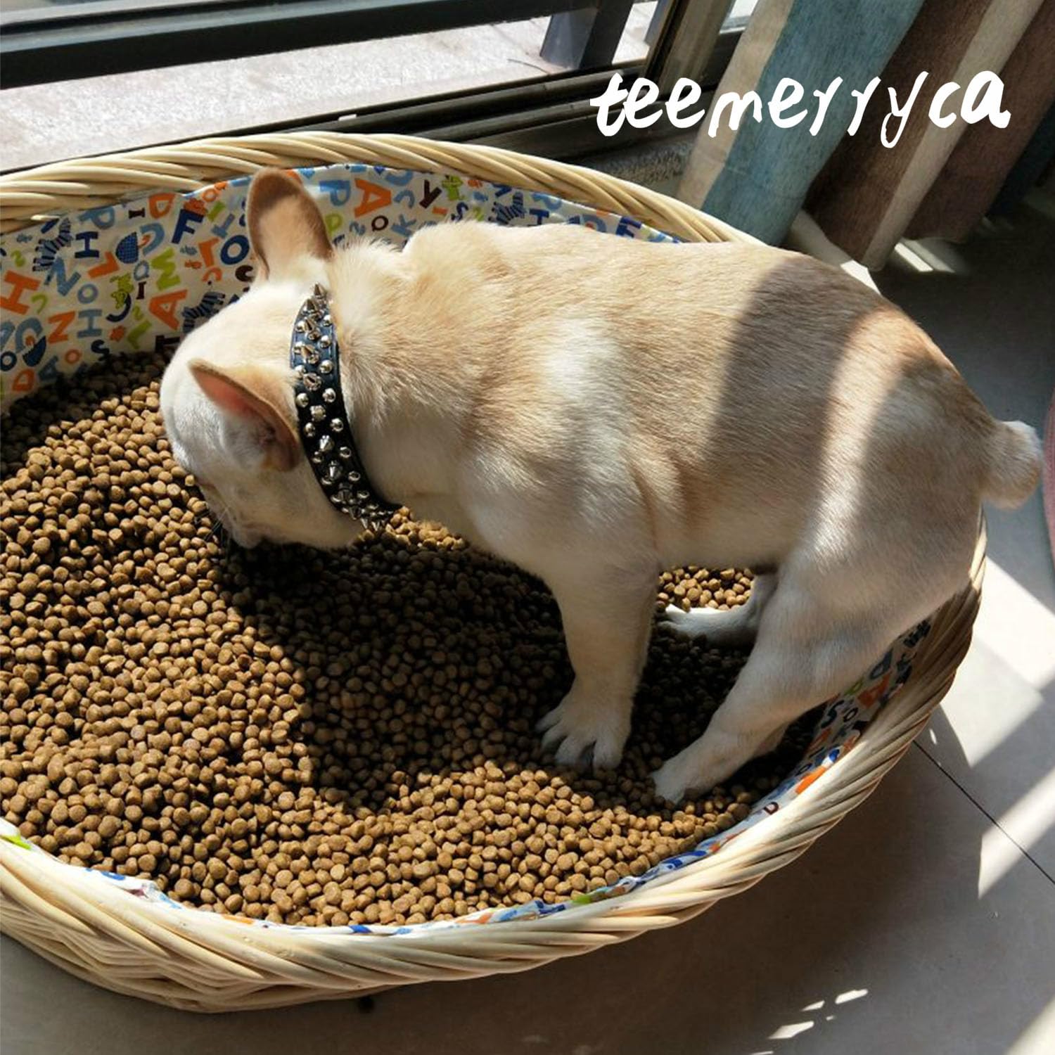 Presentación lista para regalo TEEMERRYCA con collar y bola.
