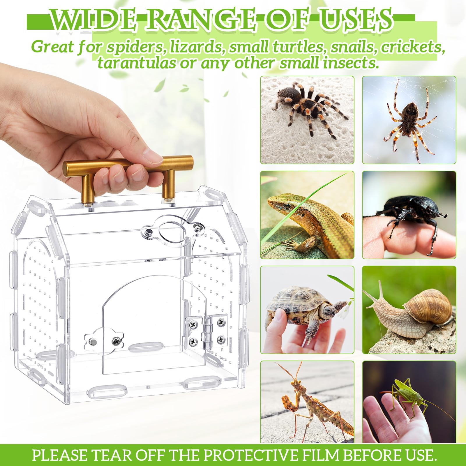 Teenyyou jaula tarantula con vision 360 para observar hábitos y salud.
