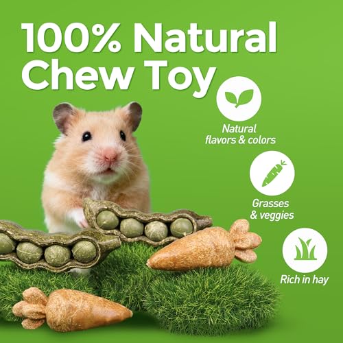TEEWY diseño mixto de frutas y verduras para roedores, estimula juego y exploración.
