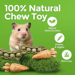 TEEWY diseño mixto de frutas y verduras para roedores, estimula juego y exploración.