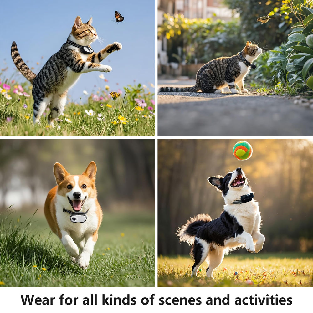 TEFIRE lightweight 50g design prioritizes pet comfort while capturing footage.