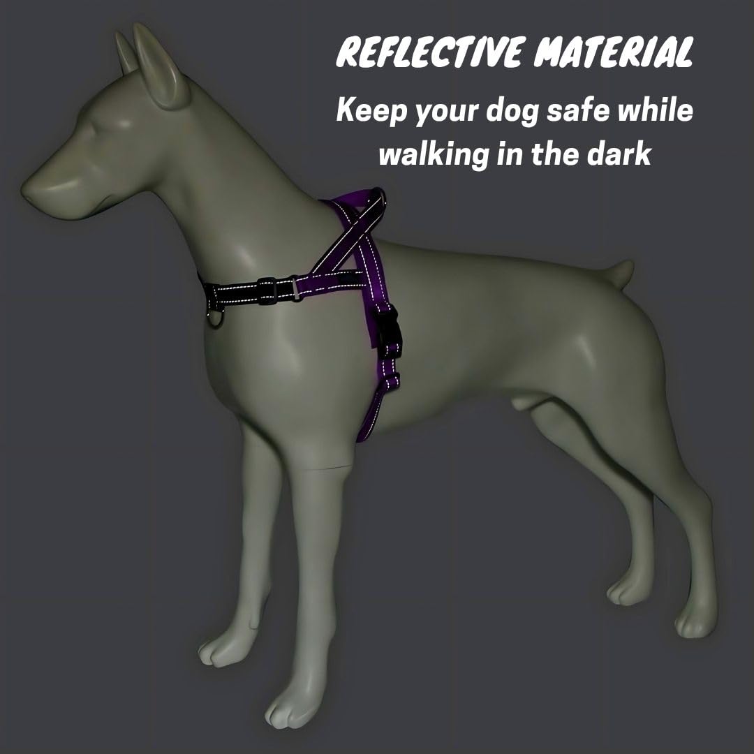 Arnés TekiWoof con asa de control para guiar sin esfuerzo.