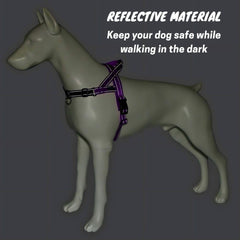 Arnés TekiWoof con asa de control para guiar sin esfuerzo.