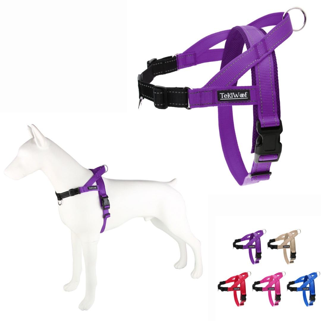 Arnés TekiWoof con clip frontal para control suave durante paseos.