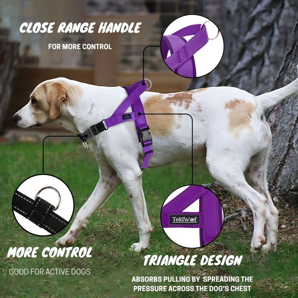 Arnés TekiWoof reflectante para visibilidad en paseos nocturnos.
