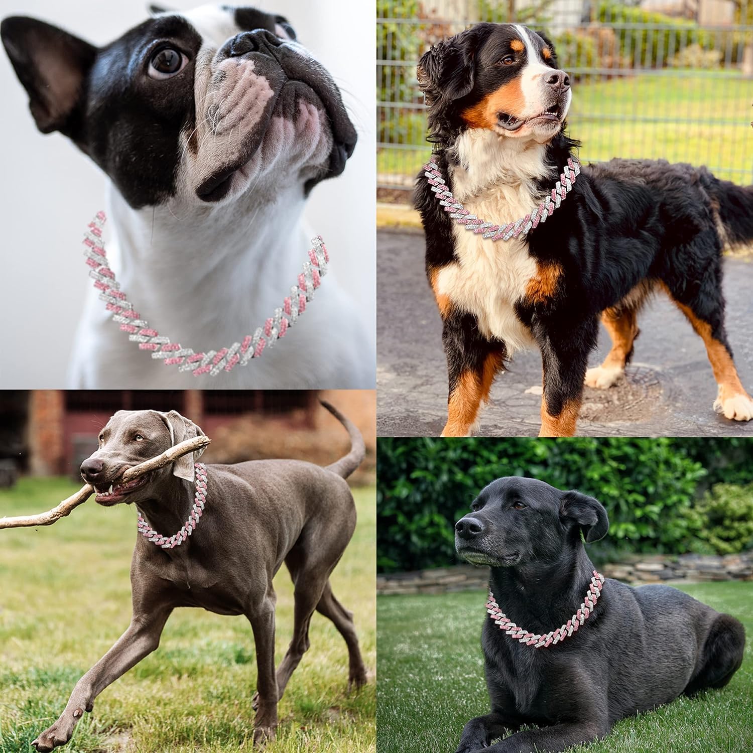 Teleyi collar para perro diamantes, aspecto destacado para salidas.