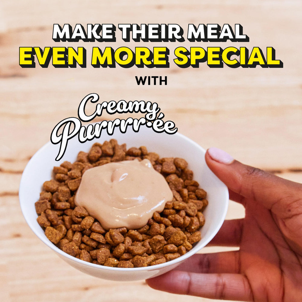 Temptations Creamy Puree tubo textura cremosa: facilita comer para gatos mayores.
