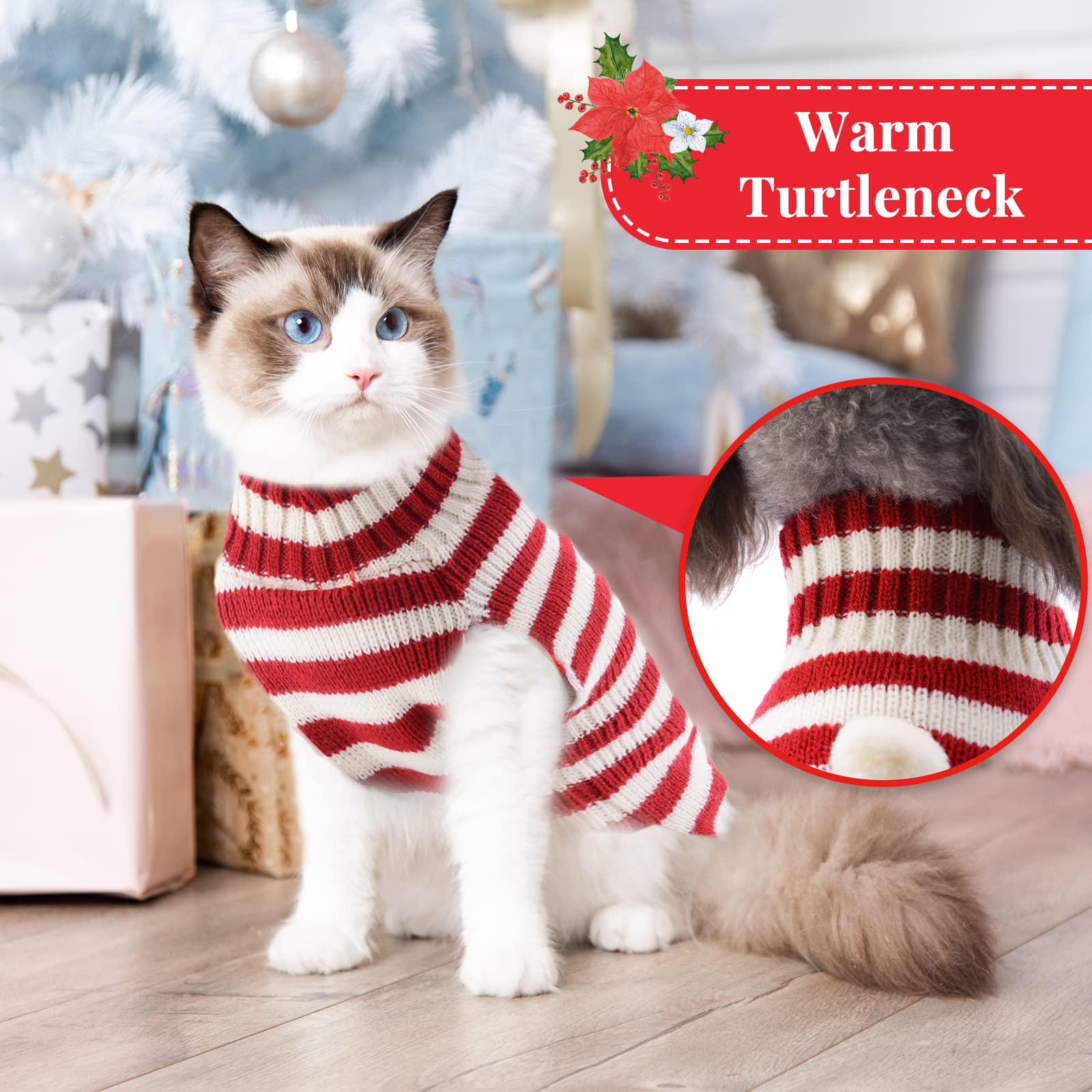 TENGZHI conjunto navideño para perro, ideal para sesiones de fotos.