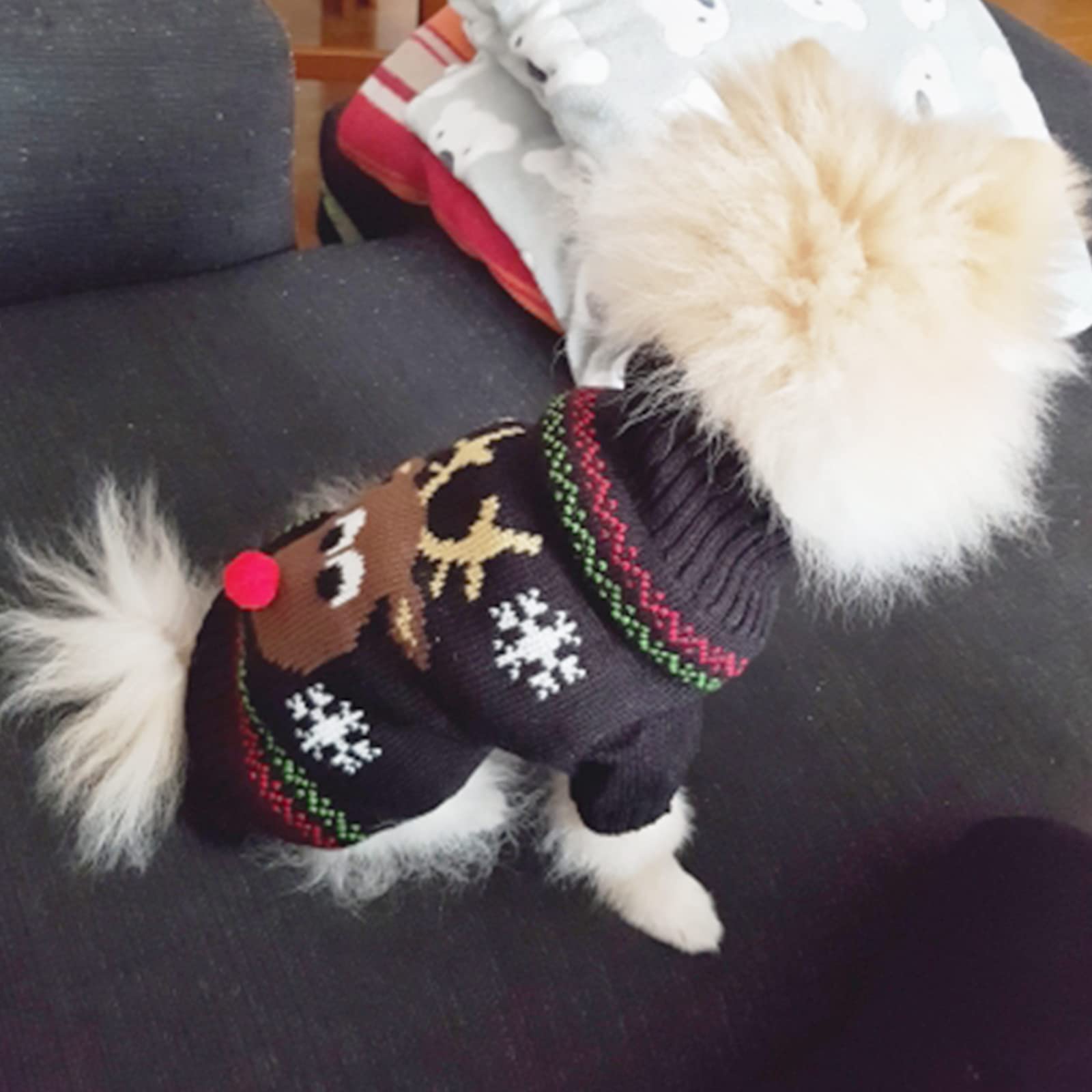 Versión para gatos y perros con estilo navideño de Tengzhi