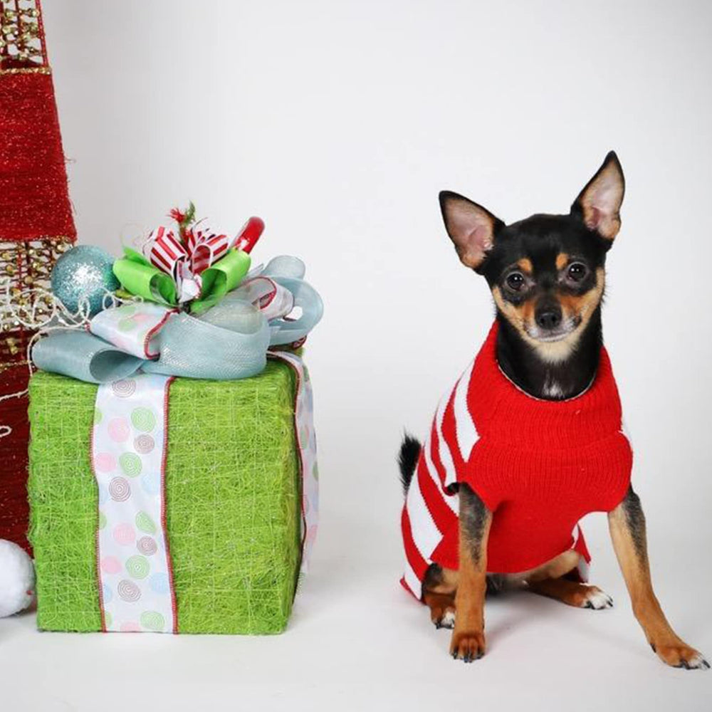 TENGZHI sudadera perro navidad reno tacto suave, ideal para abrazar al animal.
