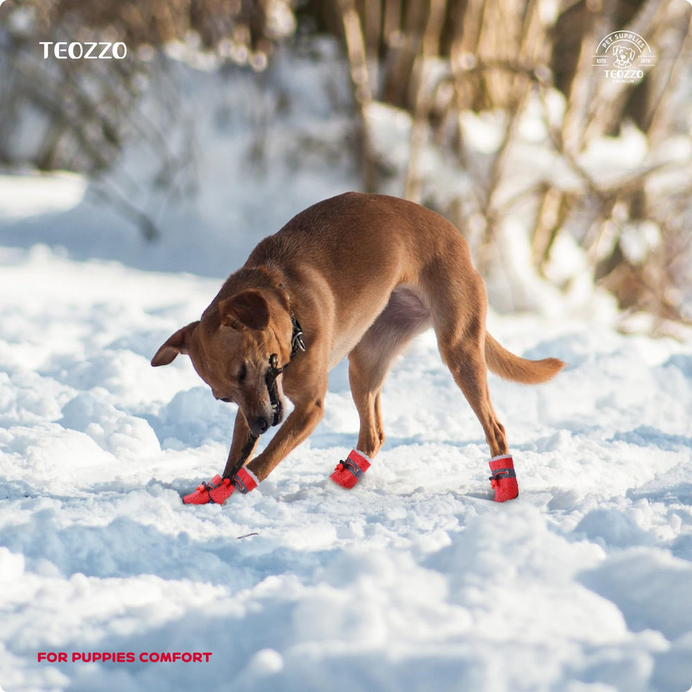 Botas TEOZZO para perro con forro de felpa interior para mayor calidez.