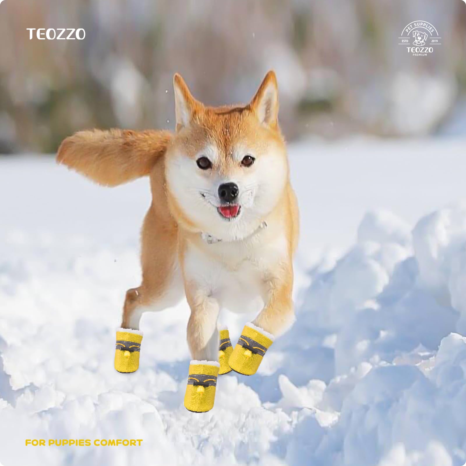 TEOZZO Botines para perro con suela antideslizante en superficies lisas