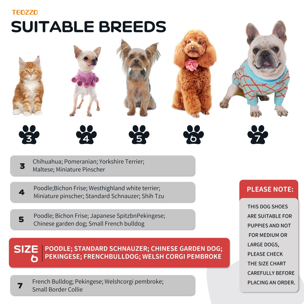 TEOZZO botas para perros protegen patas del calor en verano