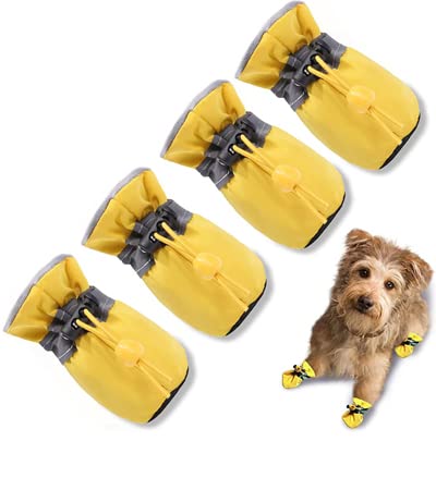 TEOZZO zapato para perro amarillo, frontal, ajuste cómodo para caminatas.