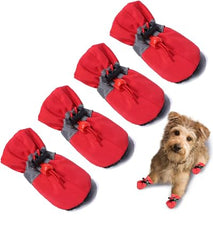 Teozzo zapato para perro con énfasis en asfalto caliente, protege patas y mejora seguridad.