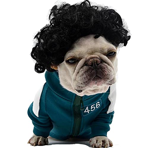 Peluca Tessveya para perro con rizado negro, ideal para disfraz y fiestas.