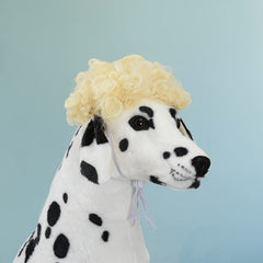 Peluca Tessveya para perro, disfraz para eventos, útil en celebraciones.