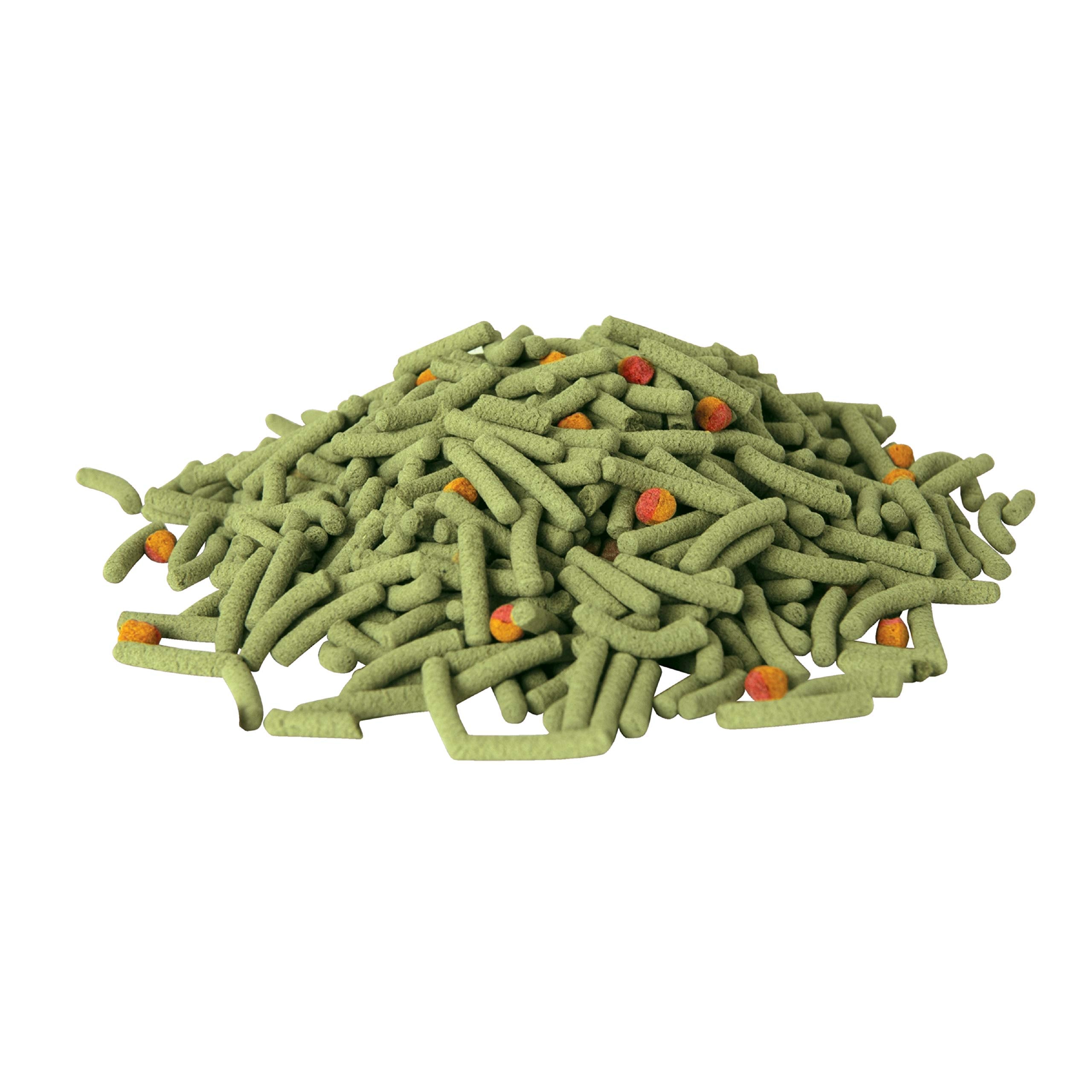 TetraFauna Pro ReptoMin Pro: nutrición equilibrada para tortugas juveniles.