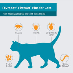 Gato cómodo tras la aplicación gracias a TevraPet FirstAct Plus.
