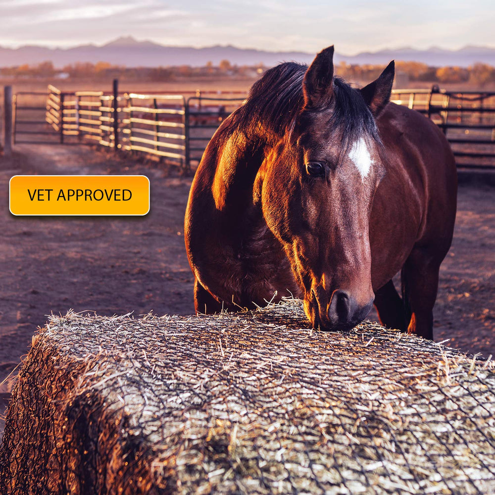 Texas Haynet mantiene el heno fresco y accesible para caballos.