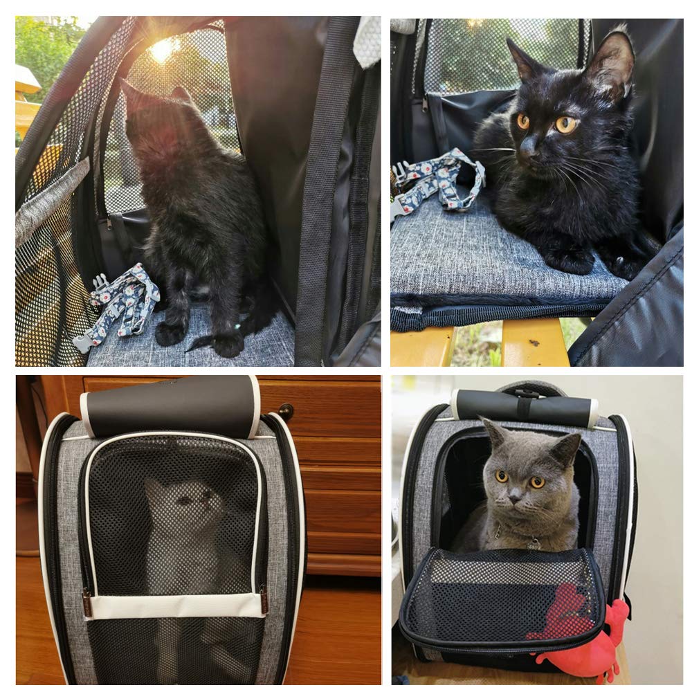 Texsens mochila resistente, durable y a prueba de rasguños para viajes prolongados.