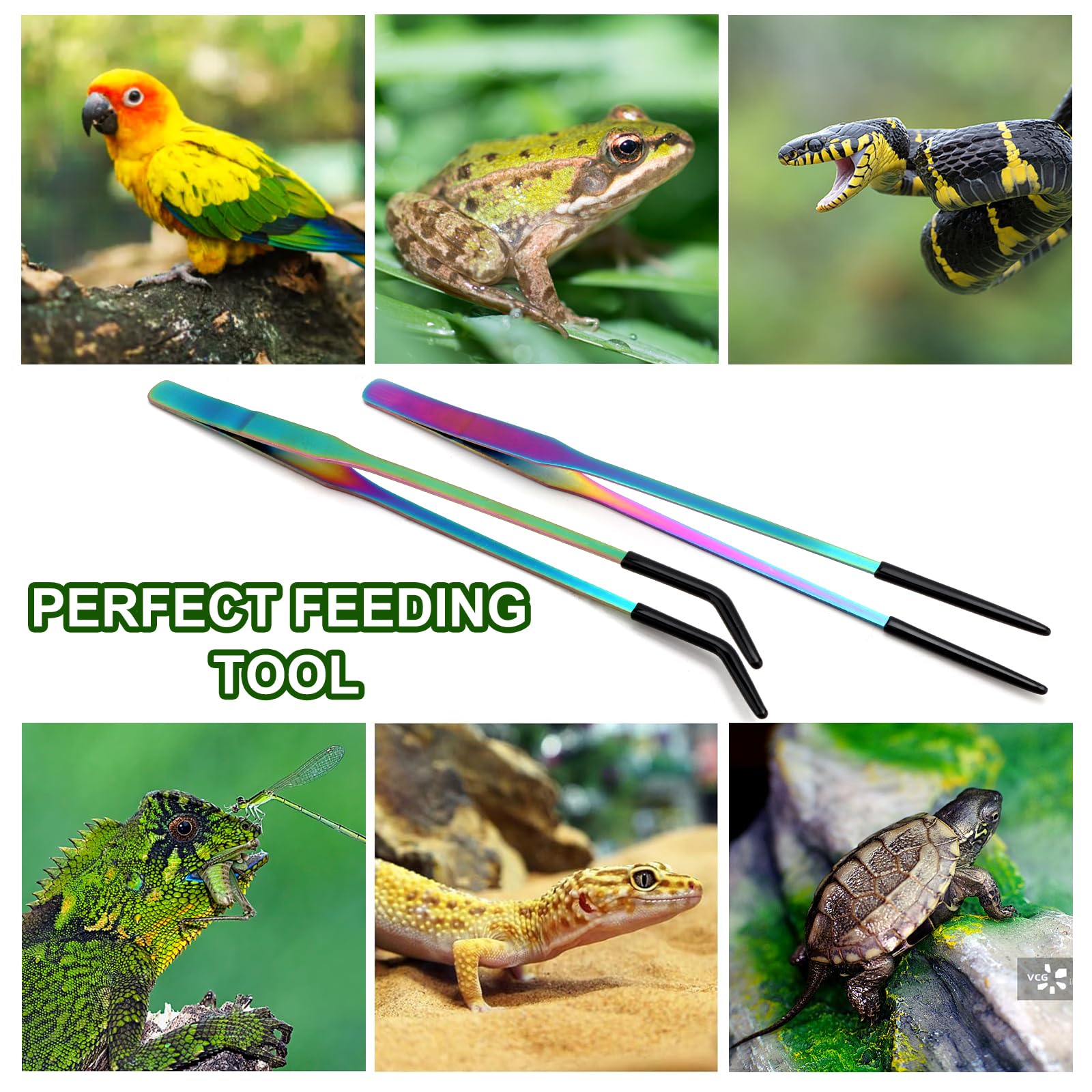 Texsens OLIISS pinzas con agarre estable para alimentación de reptiles