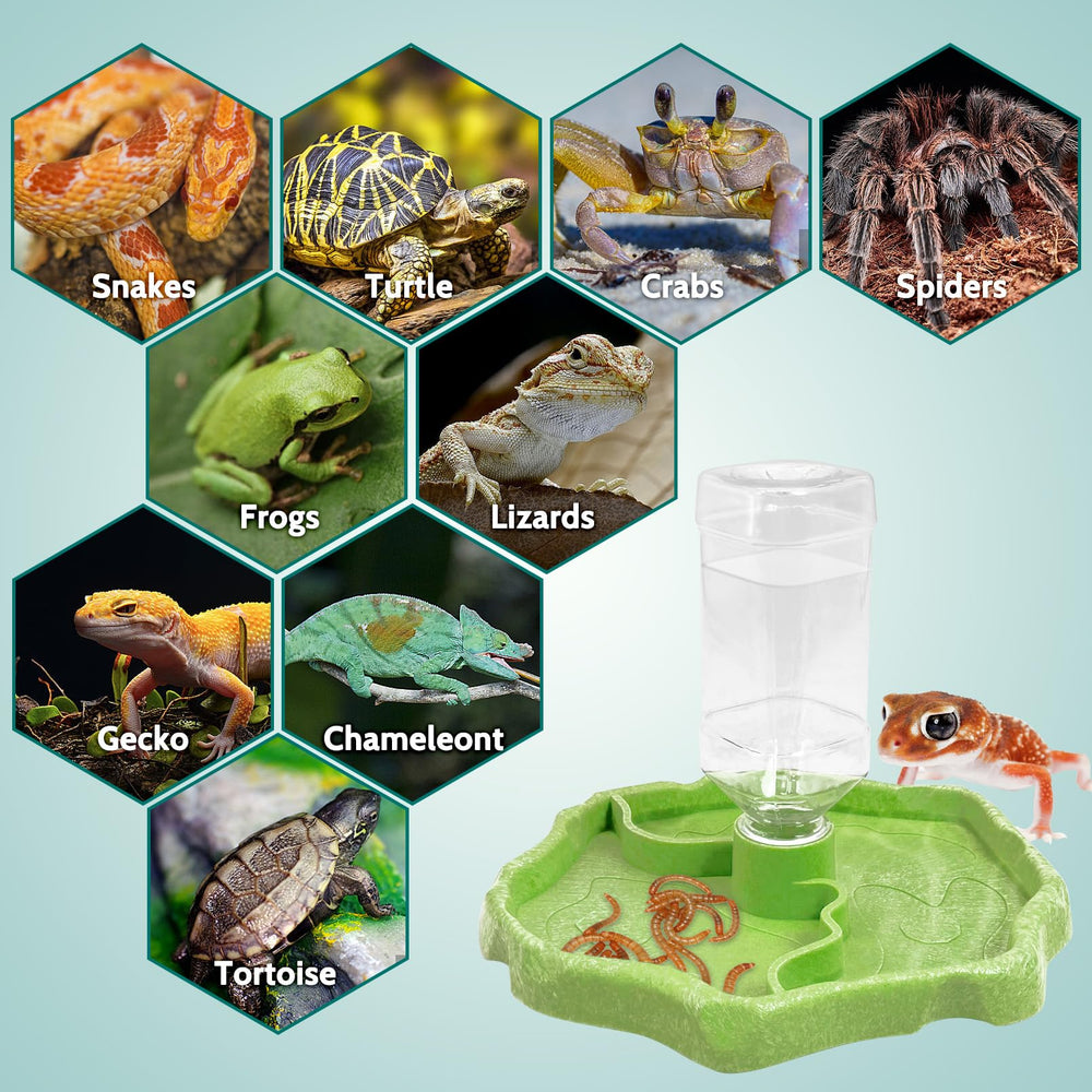 Tfwadmx 9onzas 2en1 color verde para reptiles en casa