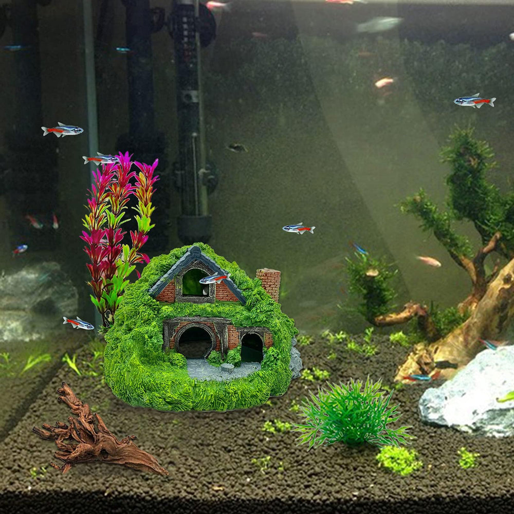 Accesorios de Tfwadmx para refugio y hábitat en acuario.