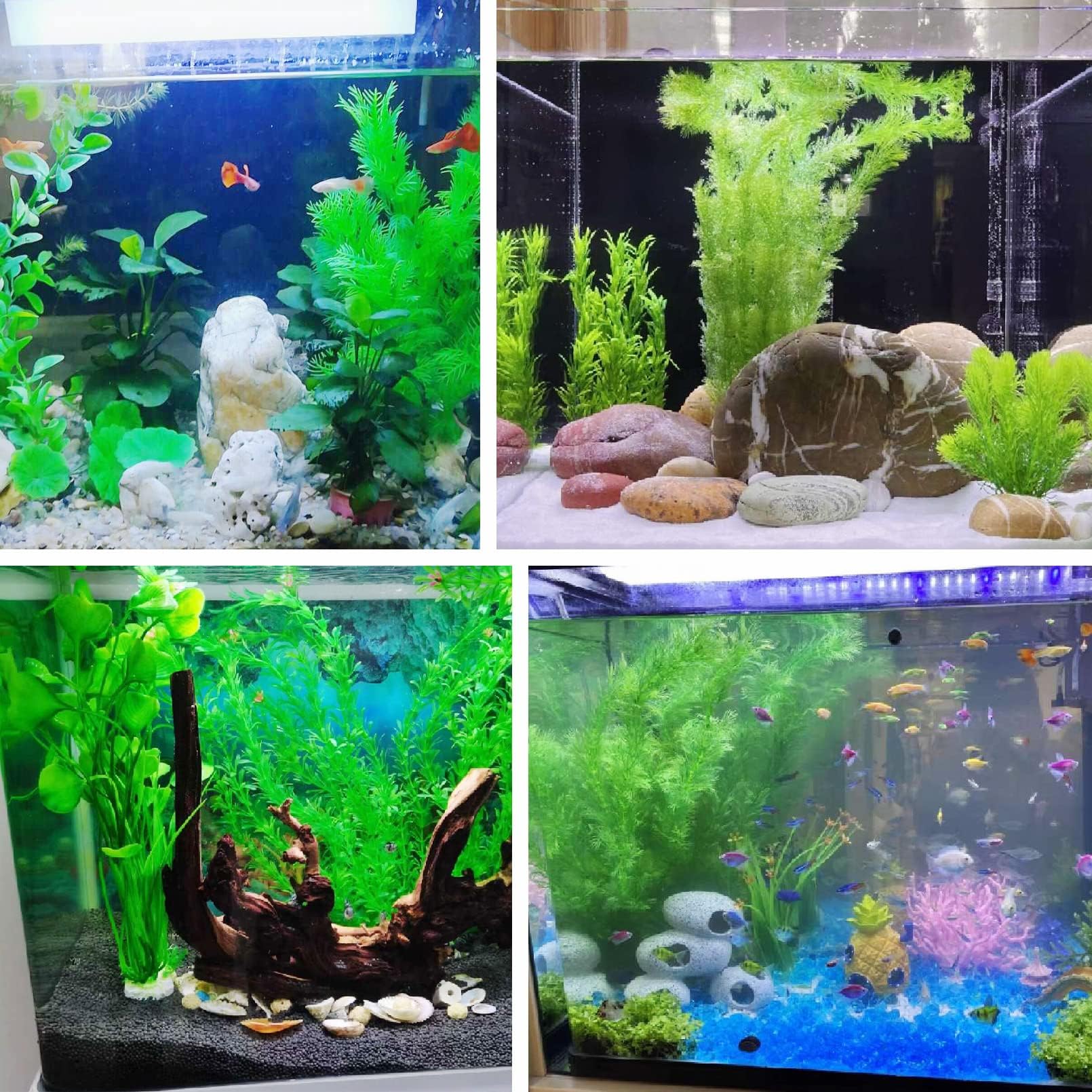 Planta tfwadmx para acuario con base de piedra, estabilidad y estética.