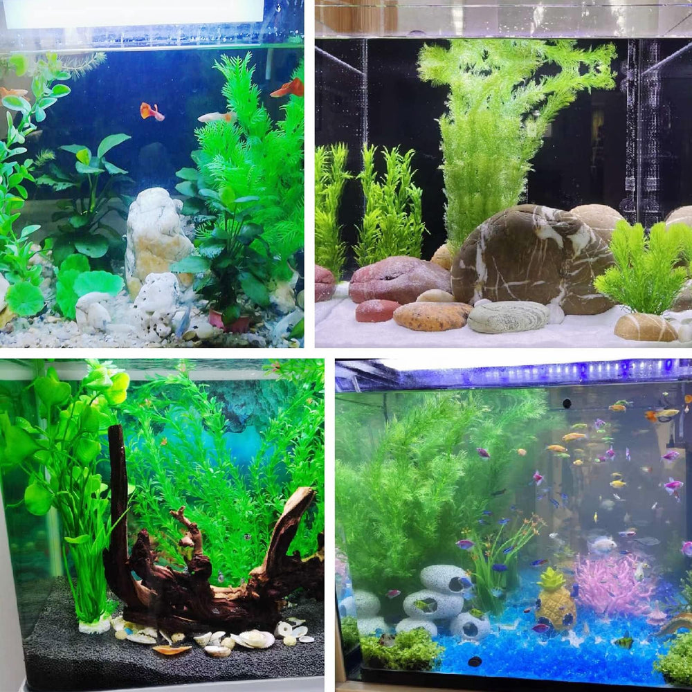 Planta tfwadmx para acuario con base de piedra, estabilidad y estética.