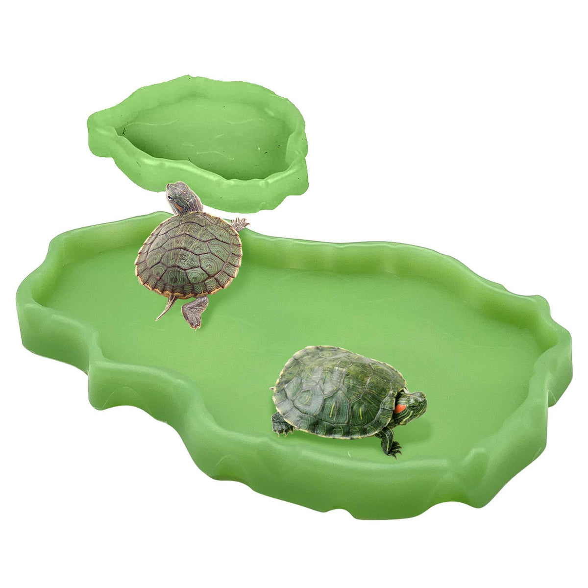 Tfwadmx plato alimento reptil luminoso para dragon barbudo atraer su interes