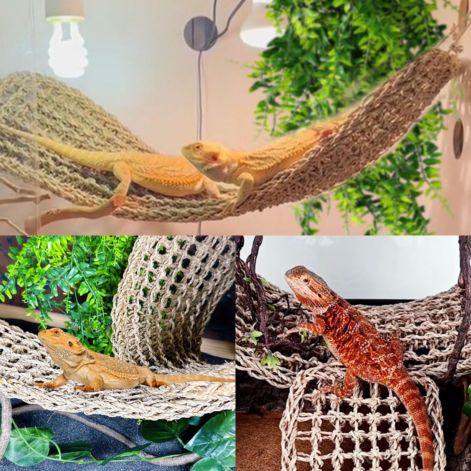 Tfwadmx rattan decorativo para terrario, aporta estructura y look natural.