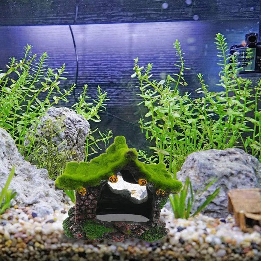 Tfwadmx: tamaño 11 cm x 9 cm x 7 cm para acuarios pequeños.