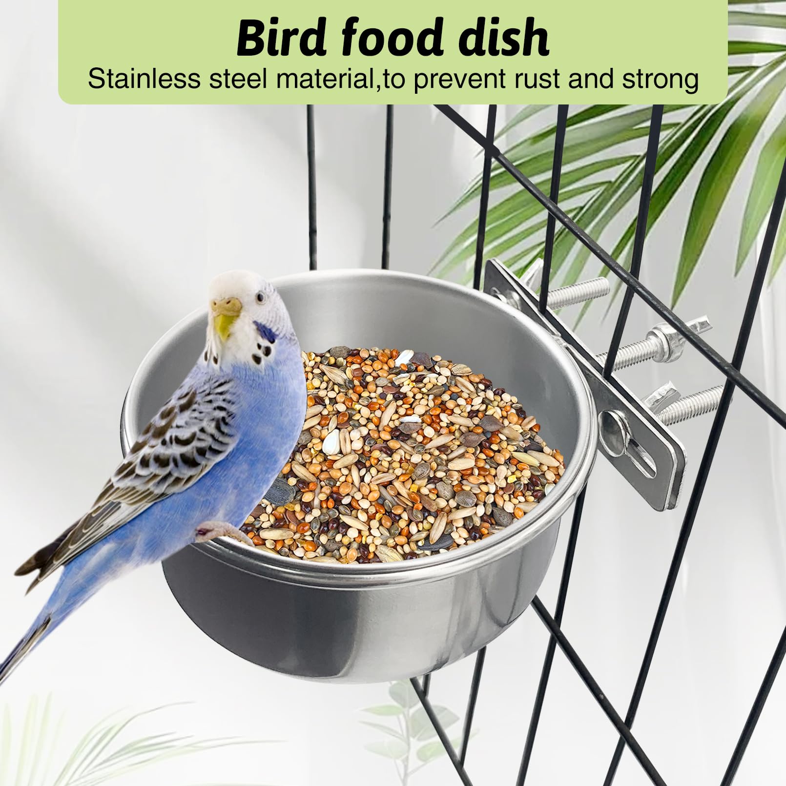 Tfwadmx tazón de alimentación para aves con capacidad de 10 onzas