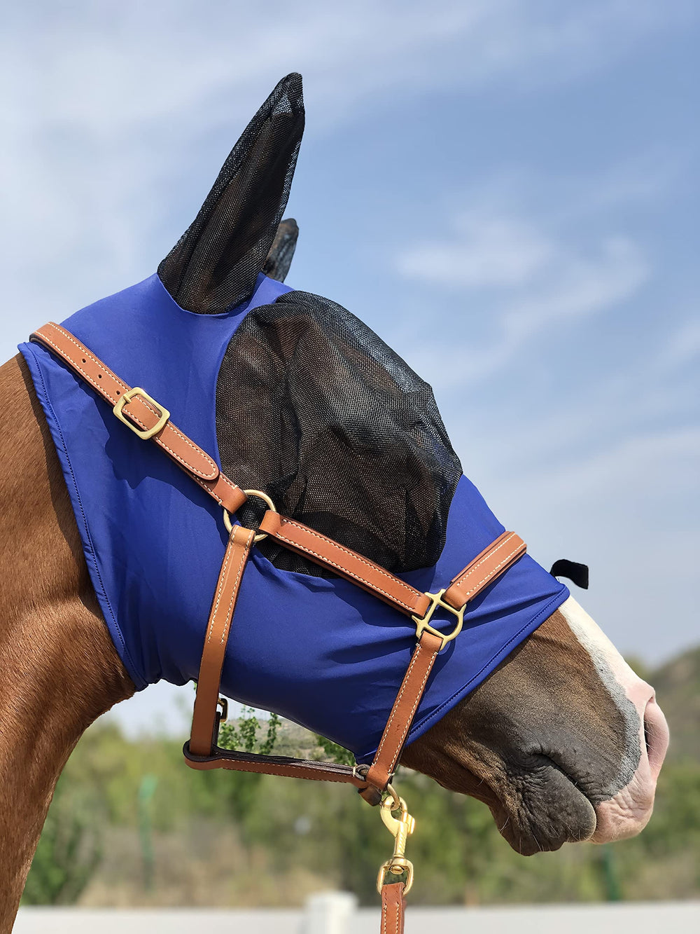 TGW RIDING Horse Fly Mask ofrece ajuste seguro y cómodo alrededor de la cabeza del caballo