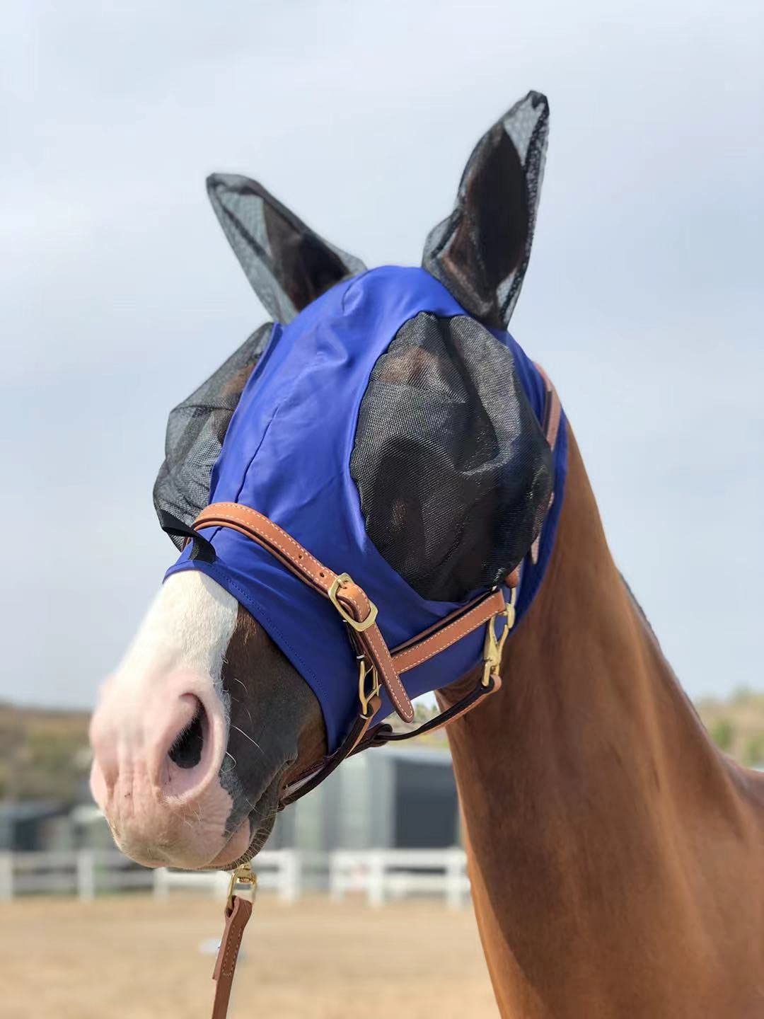 TGW RIDING Horse Fly Mask diseño de una pieza sin ganchos favorece un ajuste estable