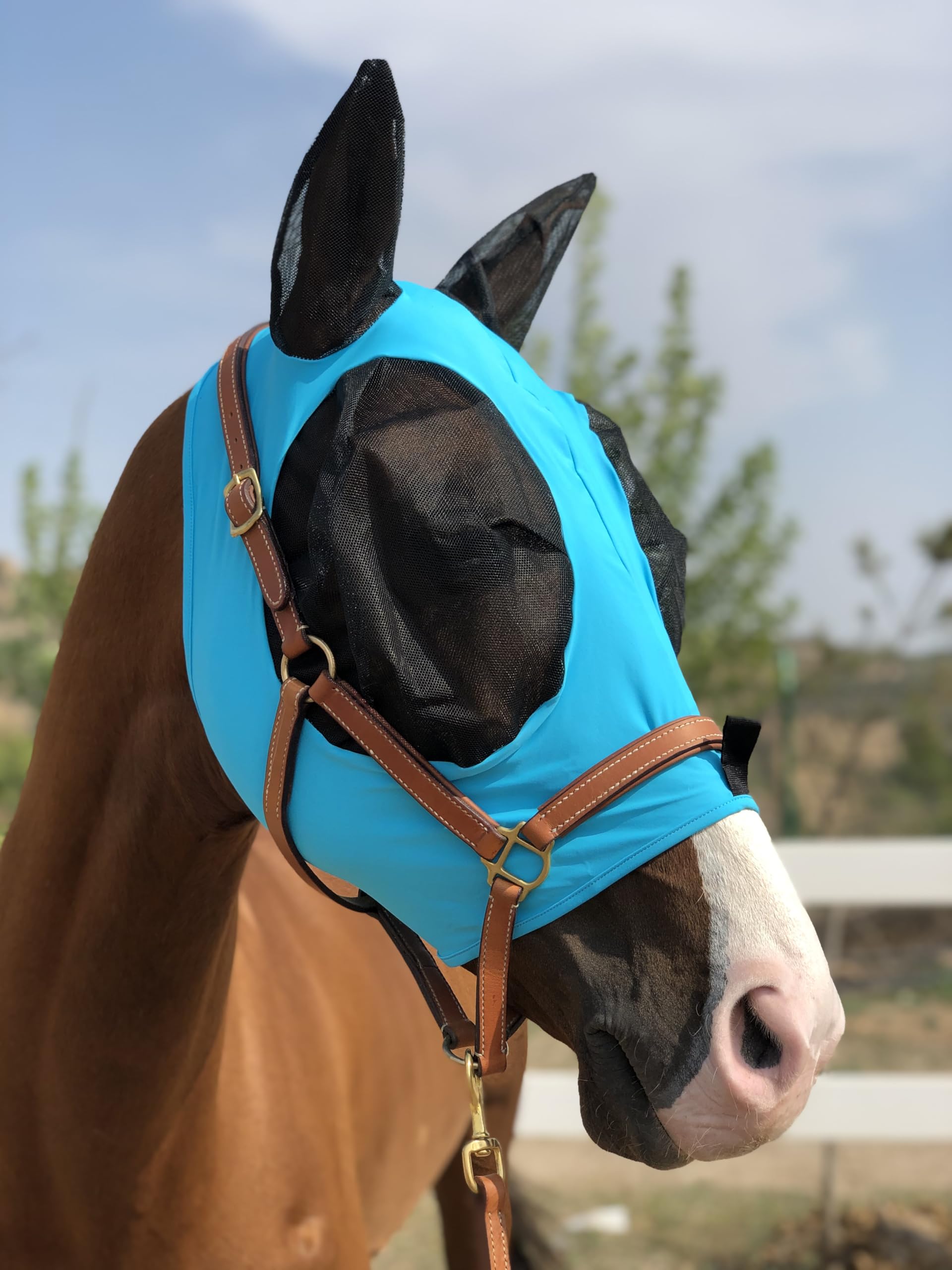La TGW RIDING máscara es estable para caballos que quitan otras máscaras.