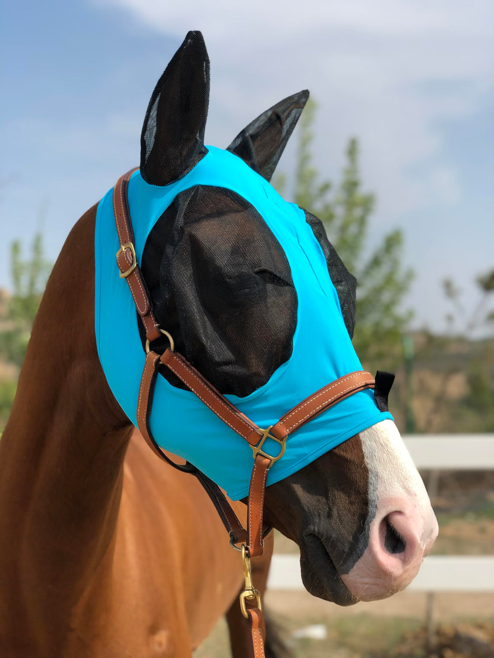 La TGW RIDING máscara es estable para caballos que quitan otras máscaras.