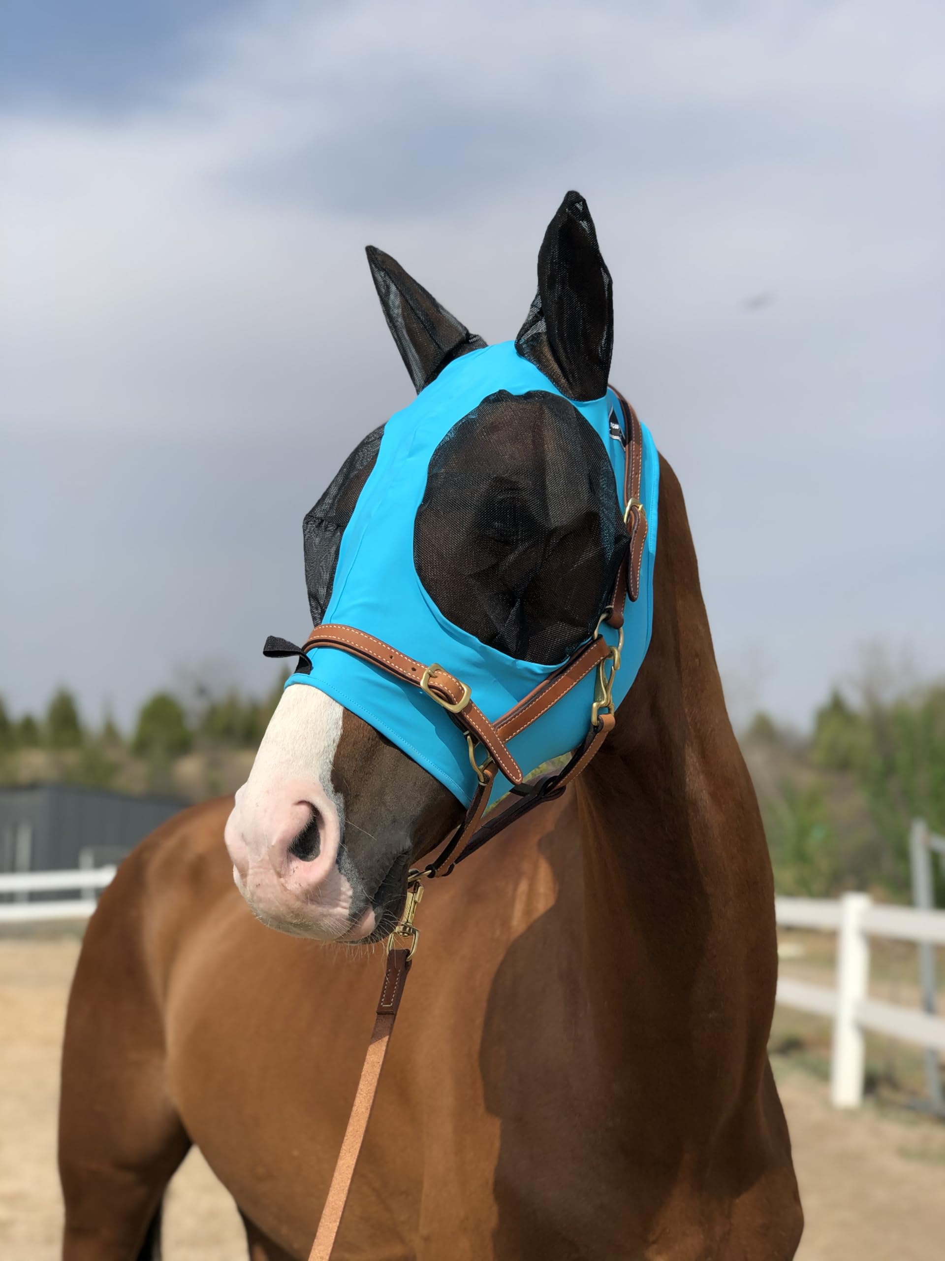 La TGW RIDING máscara con orejas ofrece visibilidad total y protección suave para ojos.