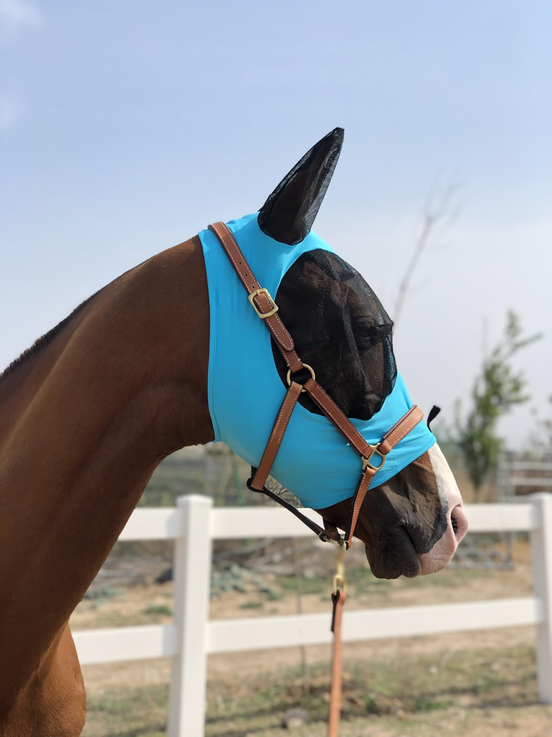 La TGW RIDING protección de nylon cubre orejas y frente con cobertura estable.