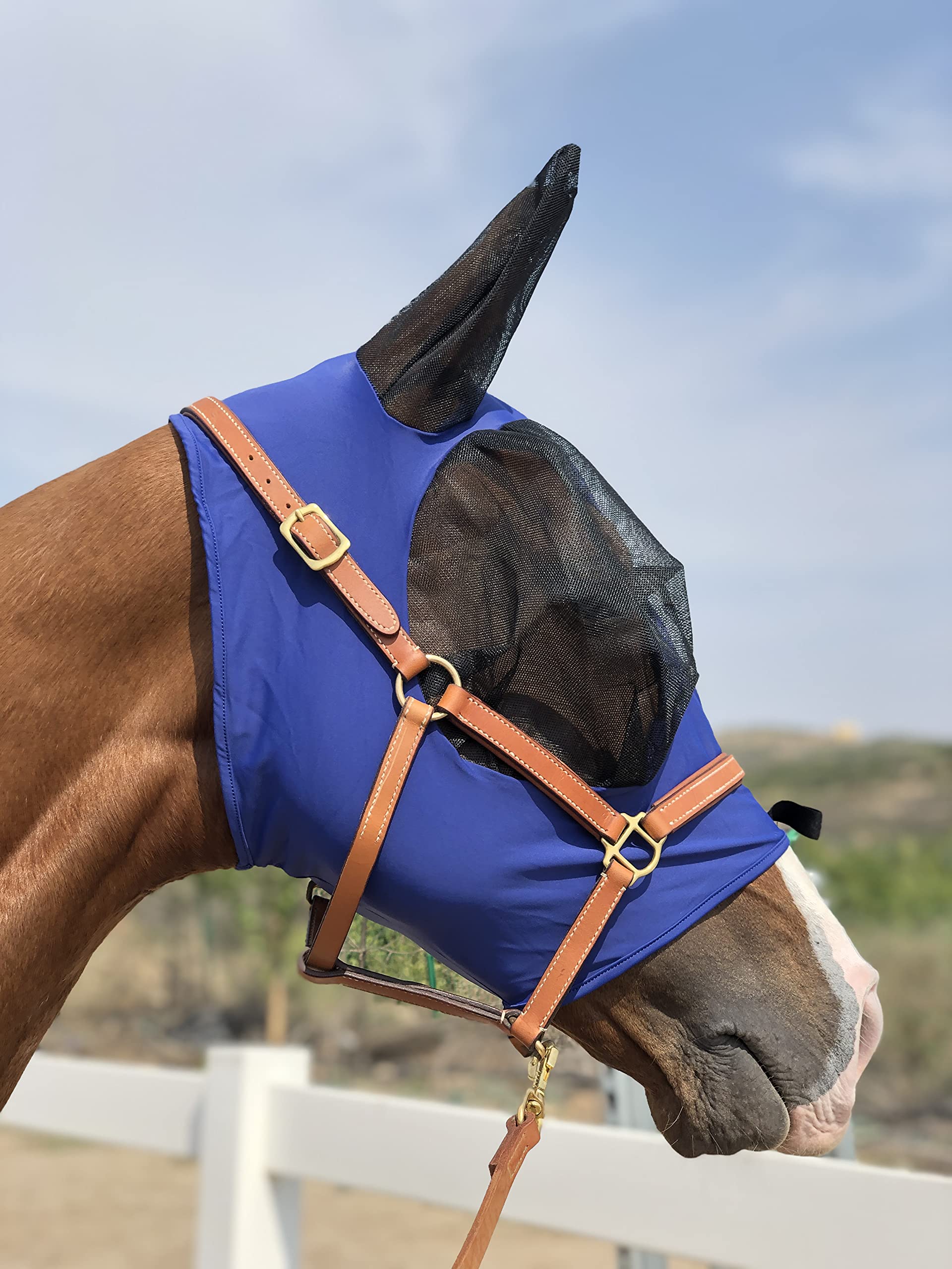 TGW RIDING Horse Fly Mask se coloca fácilmente sobre halter para mayor comodidad