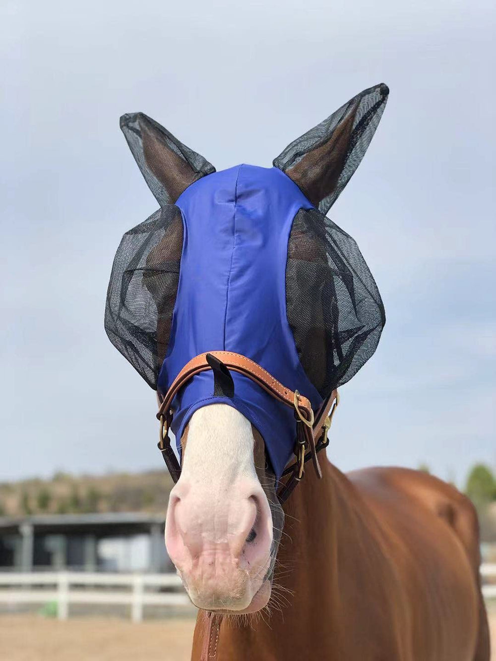 TGW RIDING Horse Fly Mask se puede usar sobre la cabezada, ideal para caballos activos