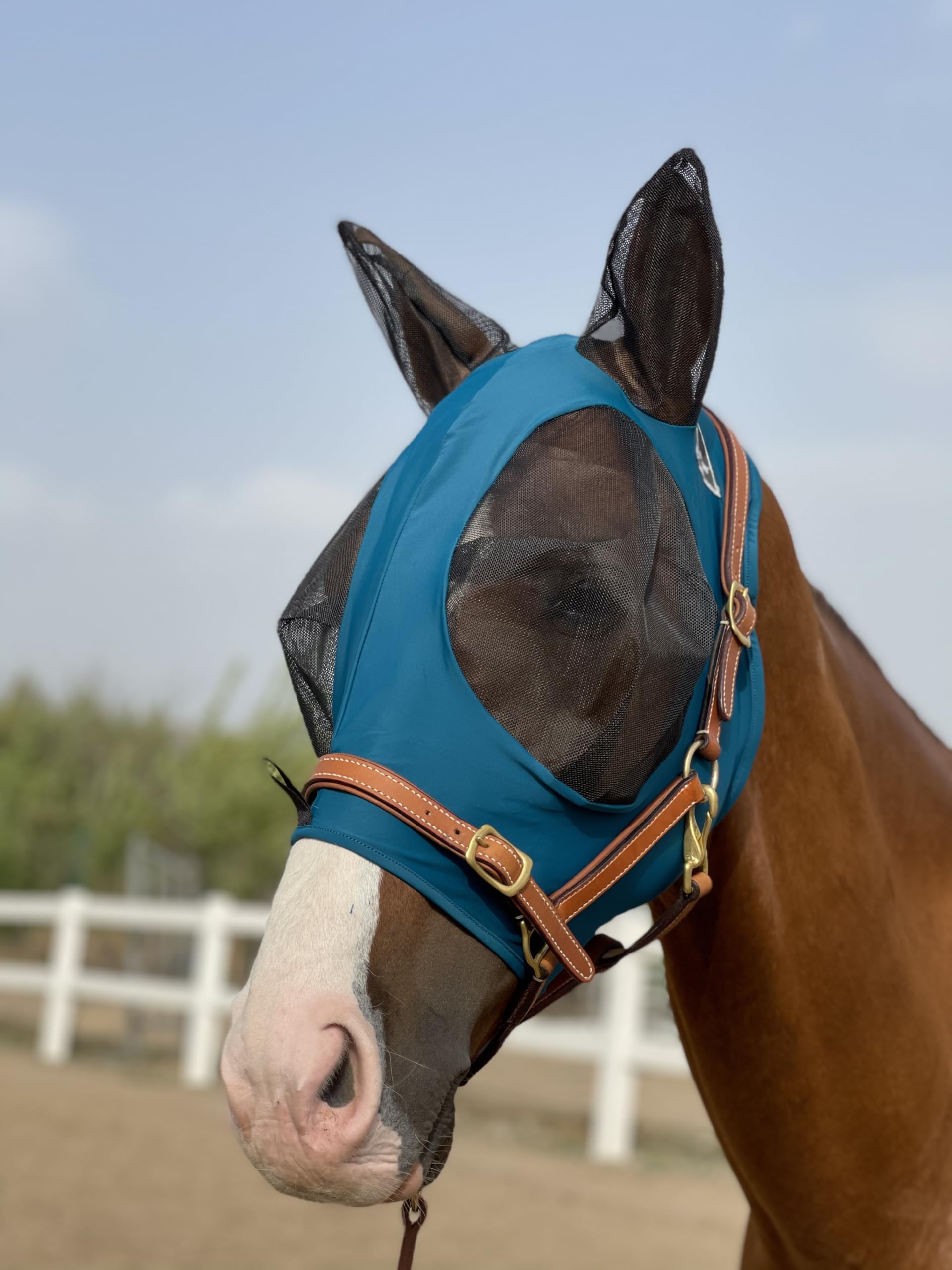 TGW RIDING máscara moscas caballos: protección ocular y orejas, sin irritación