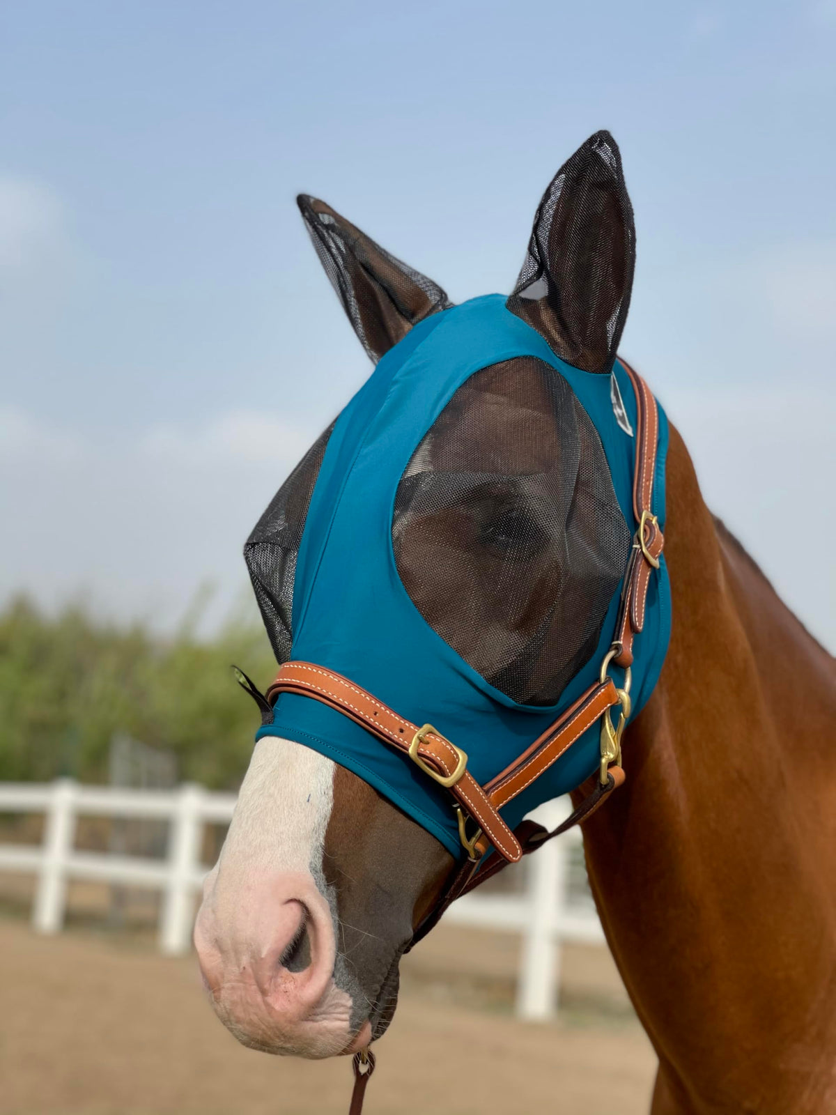 TGW RIDING máscara moscas caballos: protección ocular y orejas, sin irritación
