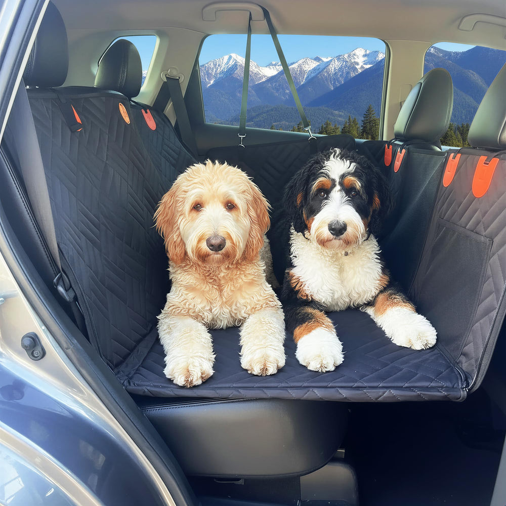 The Bark World extensor de asiento trasero con fondo duro, estable para perros grandes.